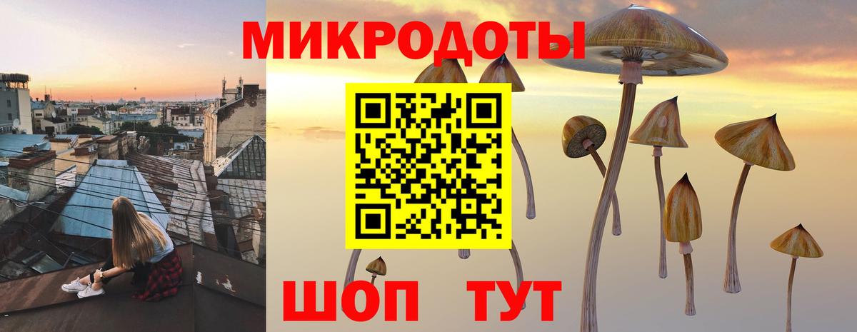 Псилоцибиновые грибы GOLDEN TEACHER Пушкино