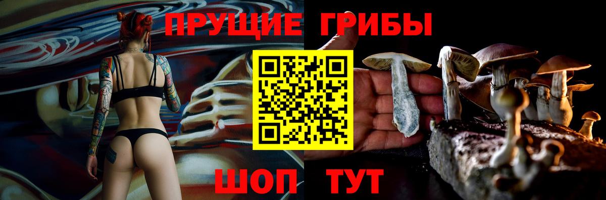 Пушкино  как найти закладки  Вход с VPN  Псилоцибиновые грибы Psilocybe 